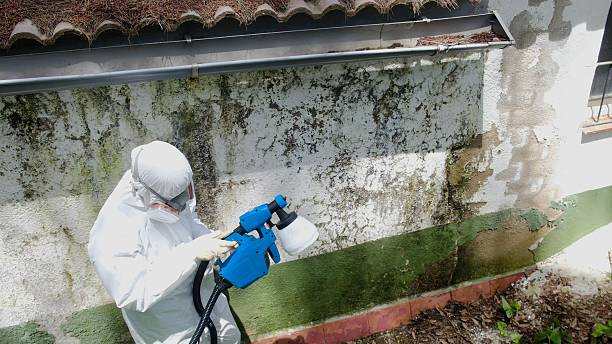 Top rated local Mold Inspection And Testing specialists in Lyndhurst, VA